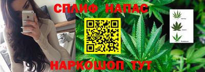мяу мяу мука Мариинск