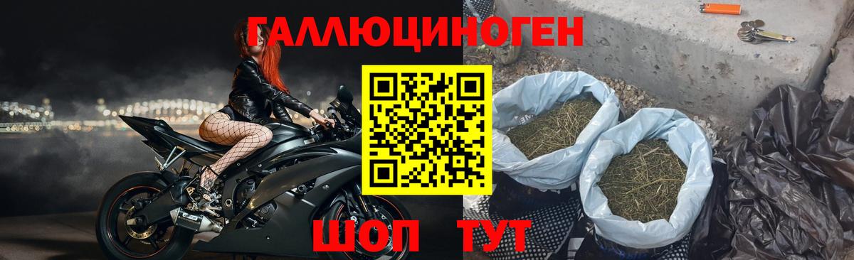 Псилоцибиновые грибы Psilocybe  Галлюциногенные грибы Psilocybe  Уссурийск  где продают   Вход с VPN 